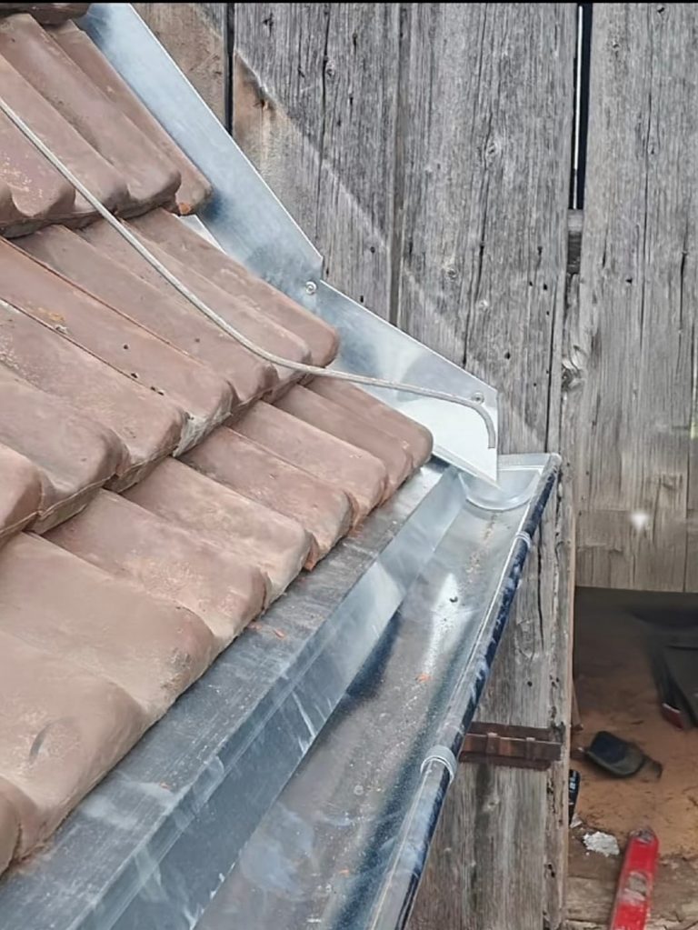 PHOTO-2026-01-08-22-34-21 2