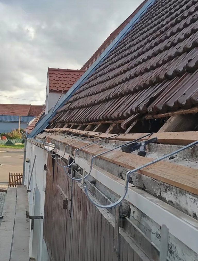 PHOTO-2026-01-08-22-34-21